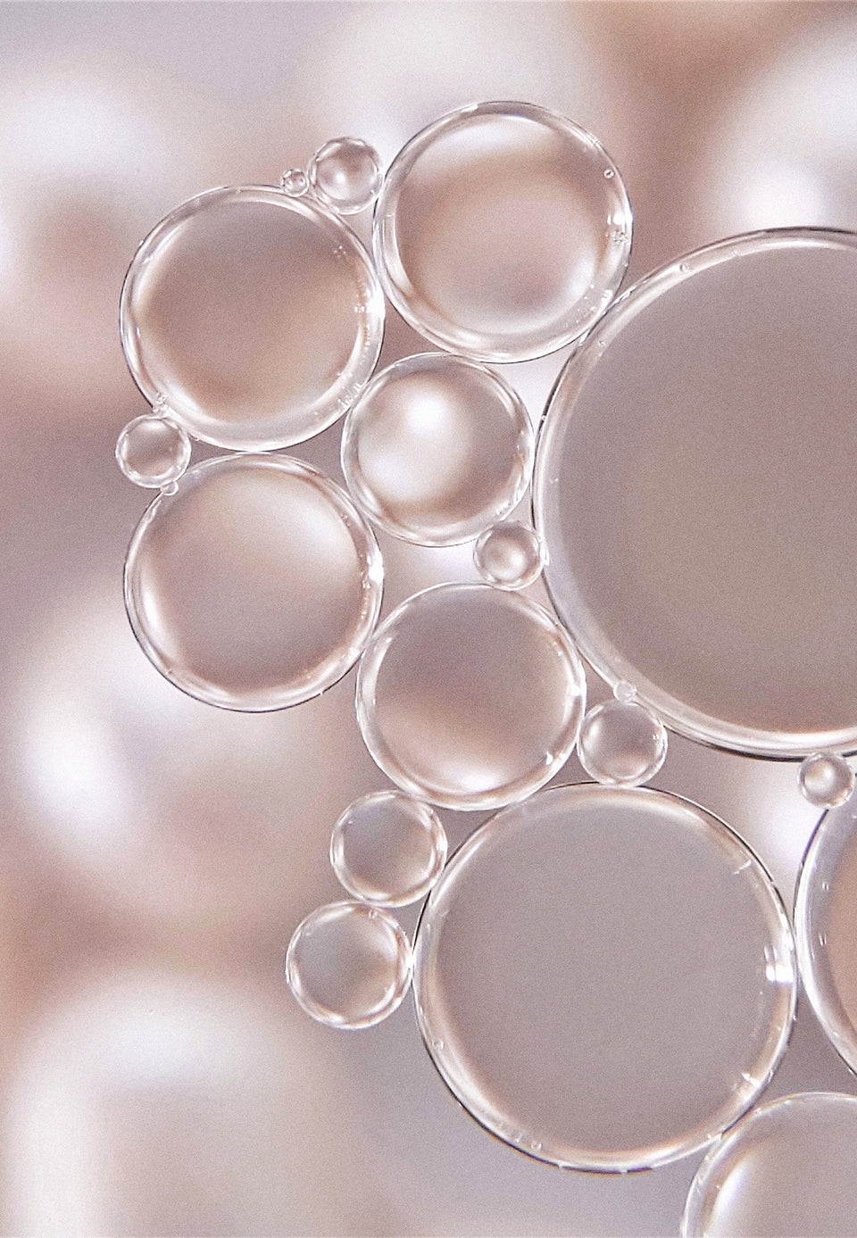 The Louminous Collection